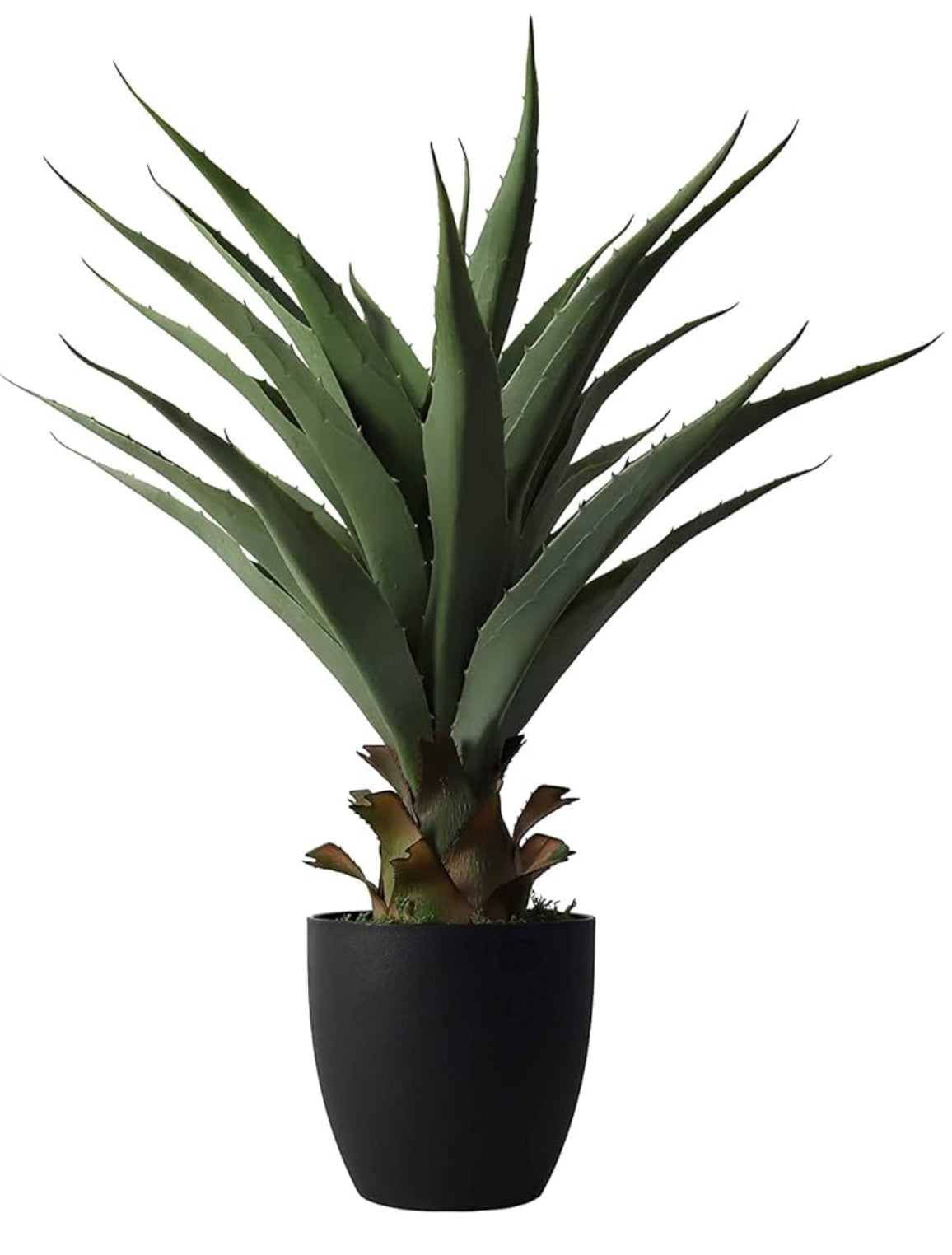 Agave Plant 27”