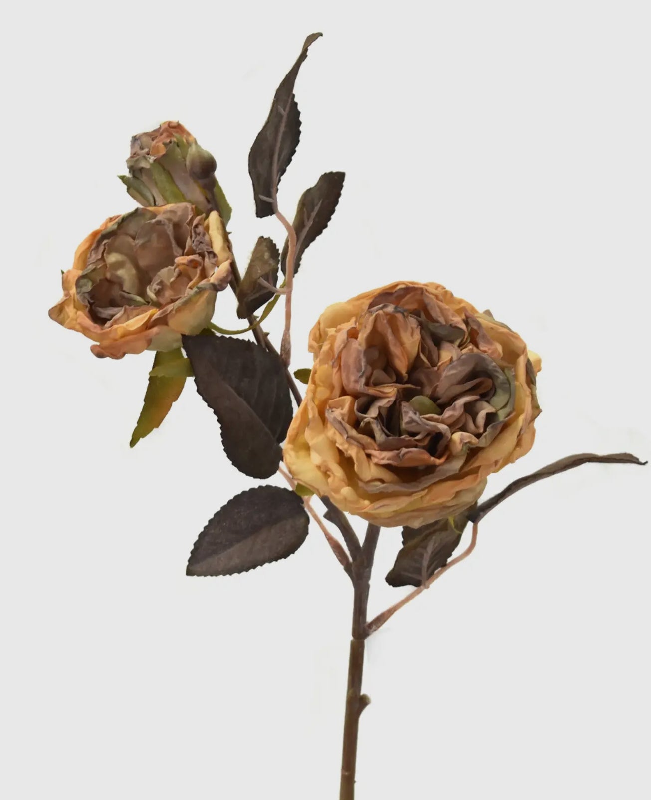17” Faux Wild Dried Rose Spray- Golden