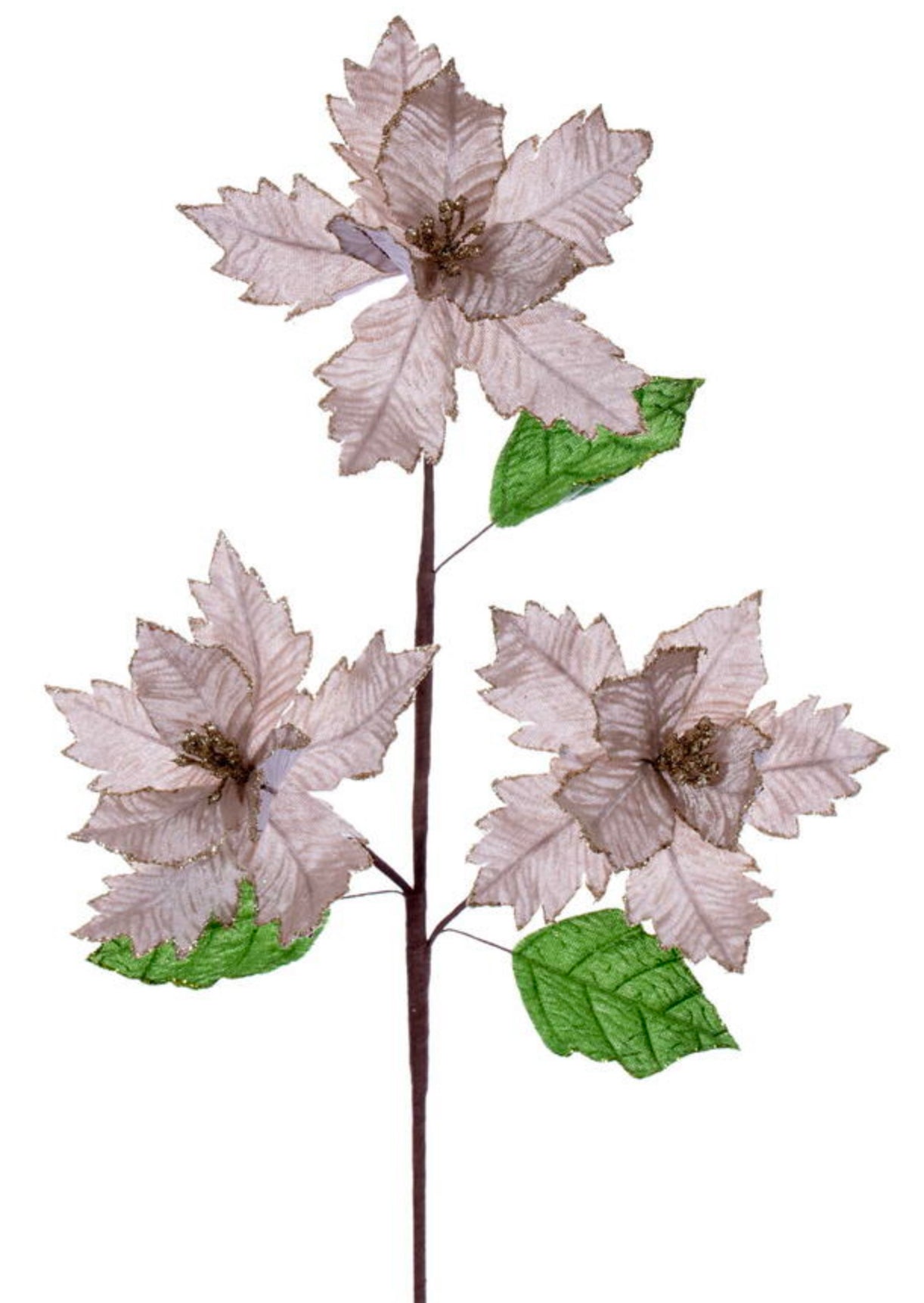 26” Champagne Velvet Trio Razor 6” Poinsettia