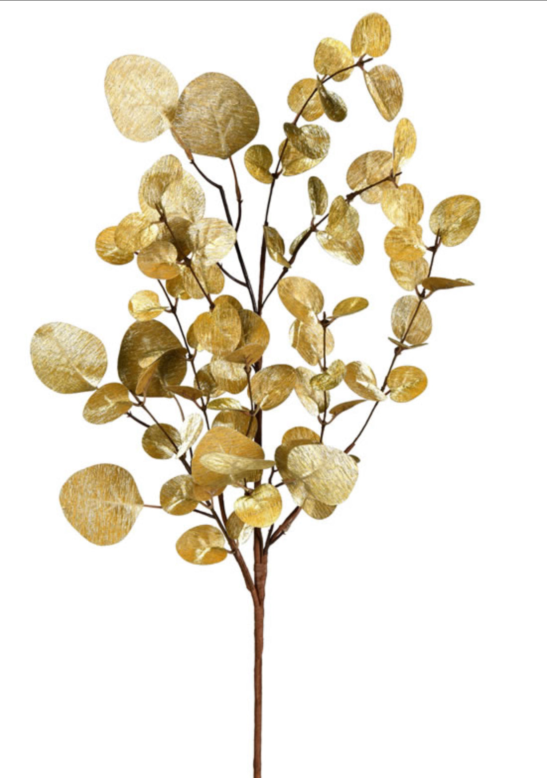 34” Gold Eucalyptus Spray