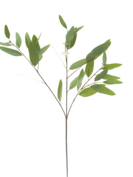 34” Long Leaf Eucalyptus Spray- Green