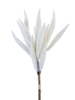 25” Millet Bundle- Cream