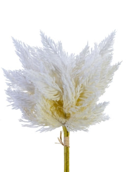 14” Pampas Bundle- Beige