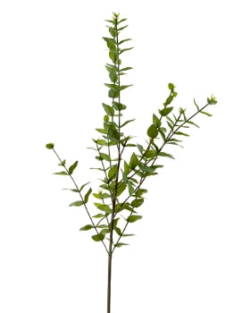 38” Mini Heart Eucalyptus Spray- Green