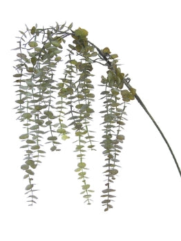 48” Hanging Eucalyptus Spray- Green/Burgundy
