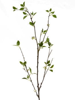 55” Bouvardia Vine Branch- Green/White