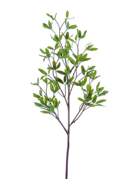 33” Coprosma Kirkii Spray- Green