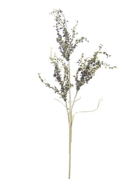 34” Dried Amaranthus Spray-Brown/Green