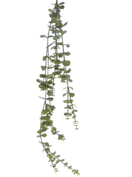 33” Hanging Succulent Spray- Green