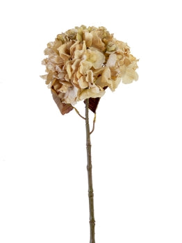 25” Dried Hydrangea Spray- Beige