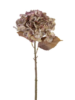 25” Dried Hydrangea Spray- Purple Sage