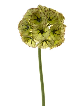 24” Scabiosa Ball- Green/Burgundy