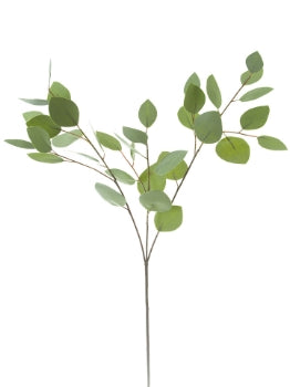 32” Silver Dollar Eucalyptus Spray- Green