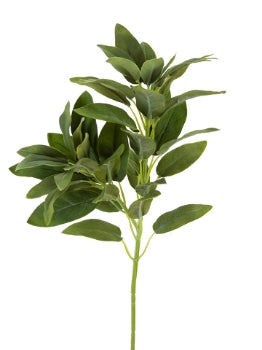 21” Salvia Spray- Green