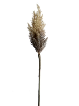 33” Dried Astilbe Spray- Beige