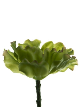 6” Cabbage Pick- Green/Pink